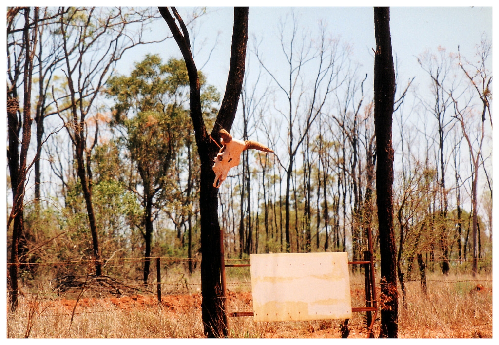 04 - Queensland (62).jpg